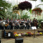 Ons optreden in een warme kas....